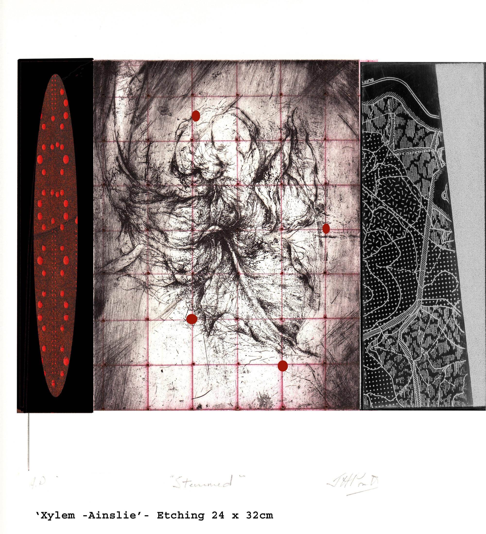 Xylem etching