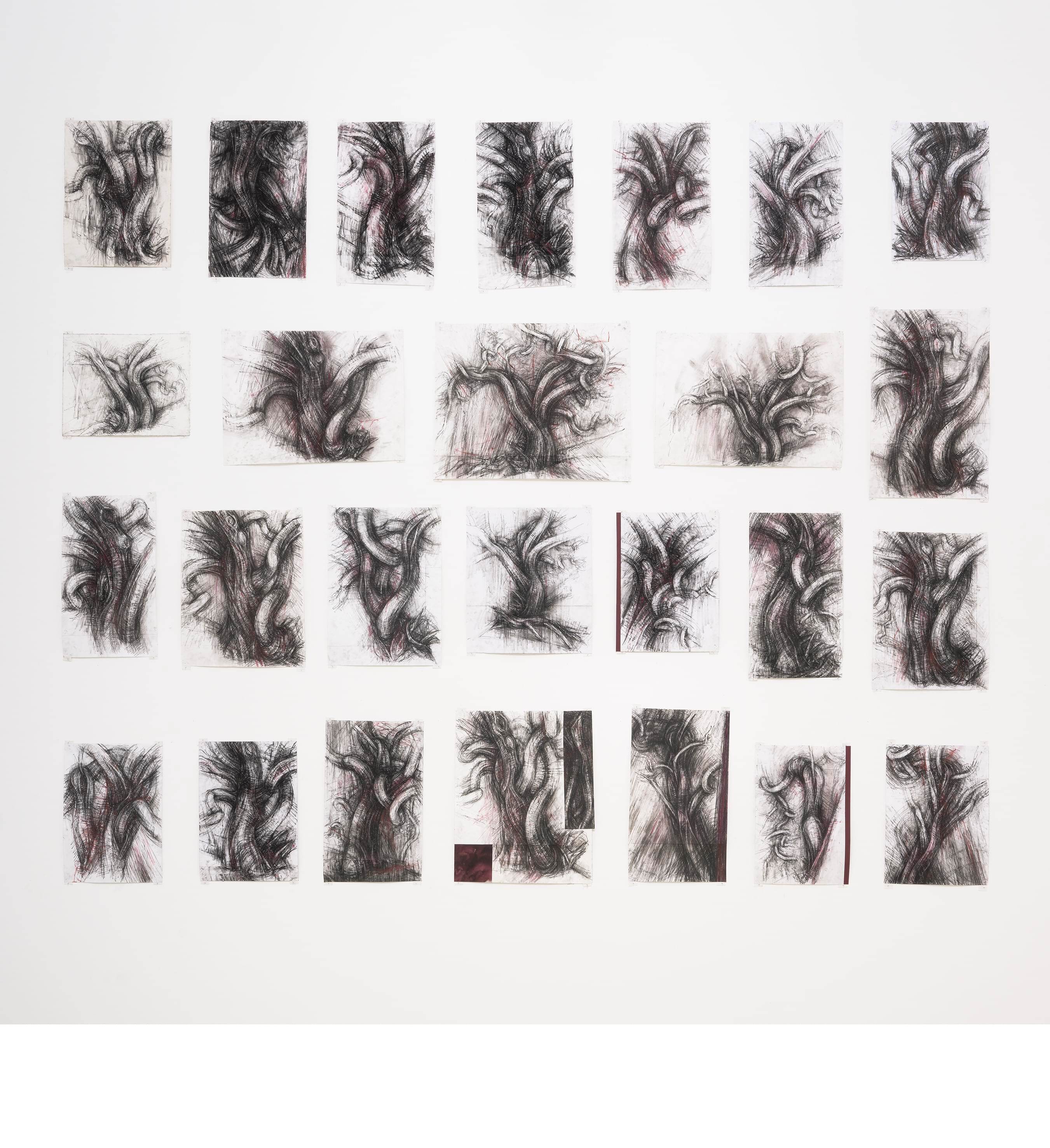 Tree studies TAC