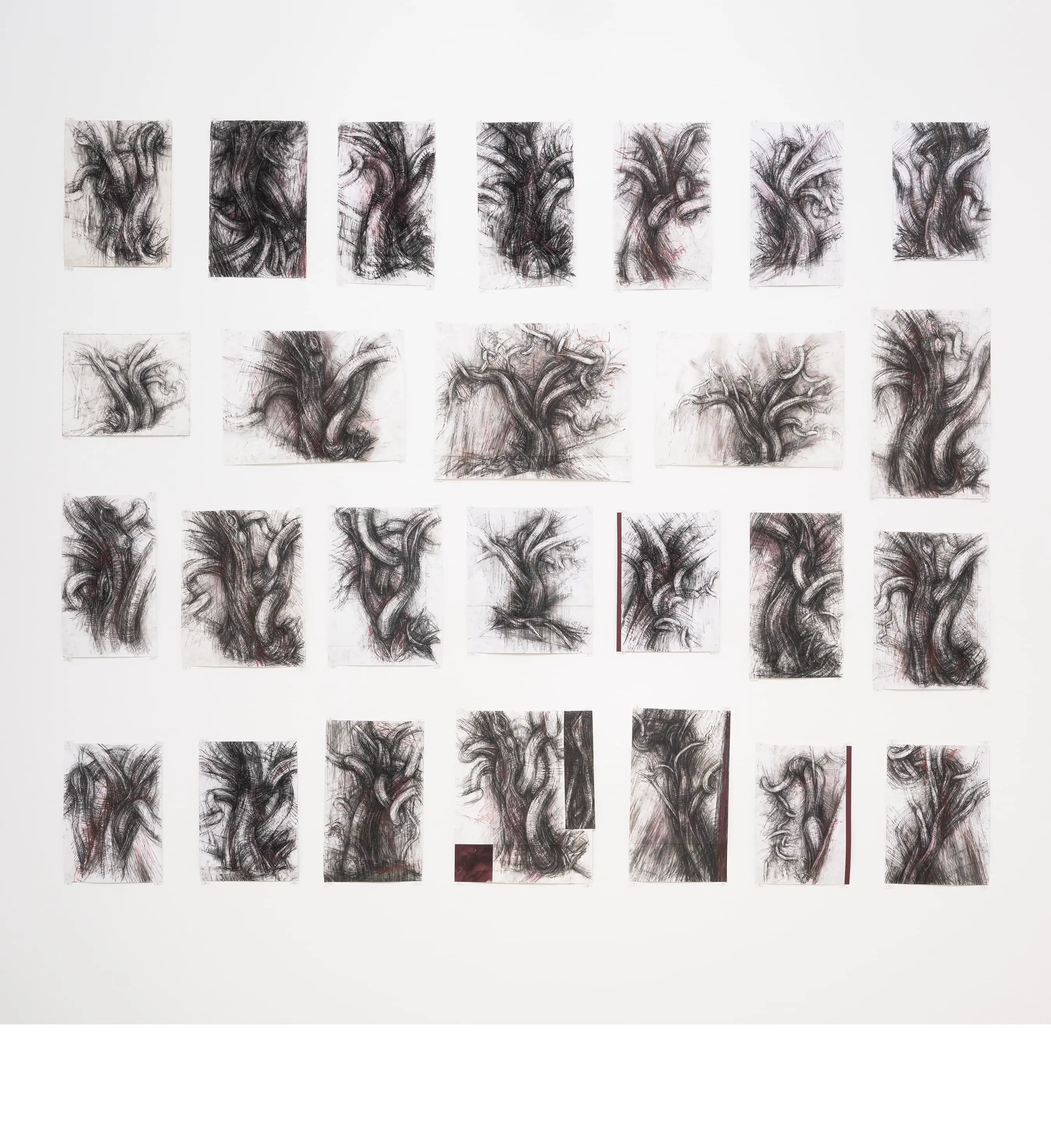 Tree studies TAC