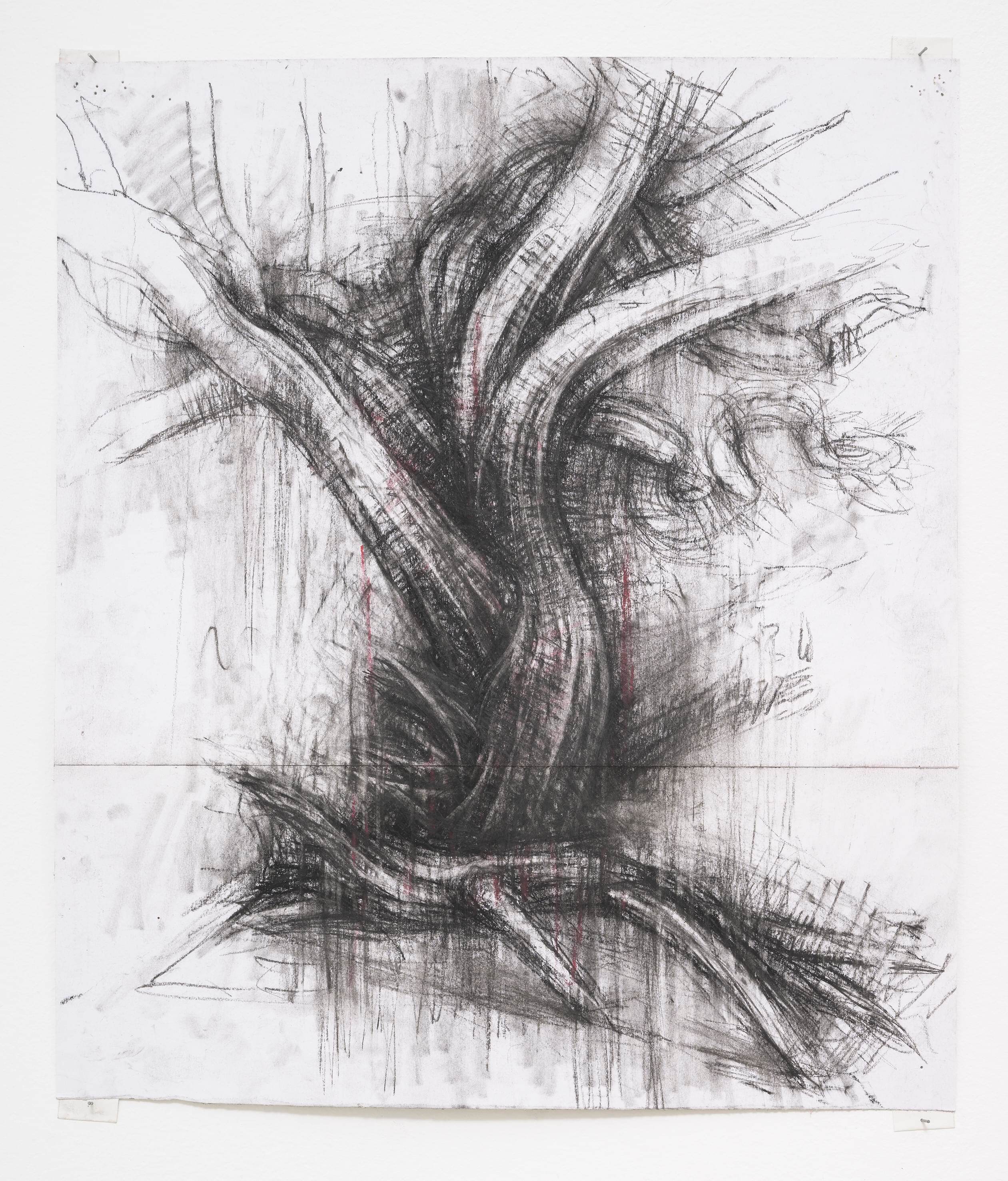 Tree study V
