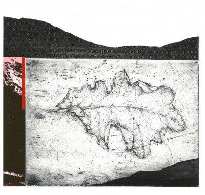 terrain