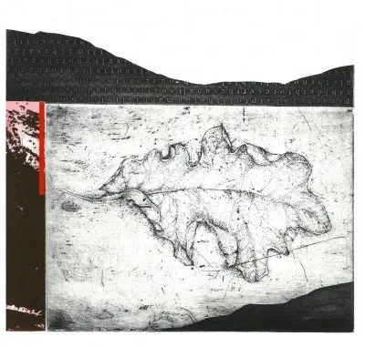terrain