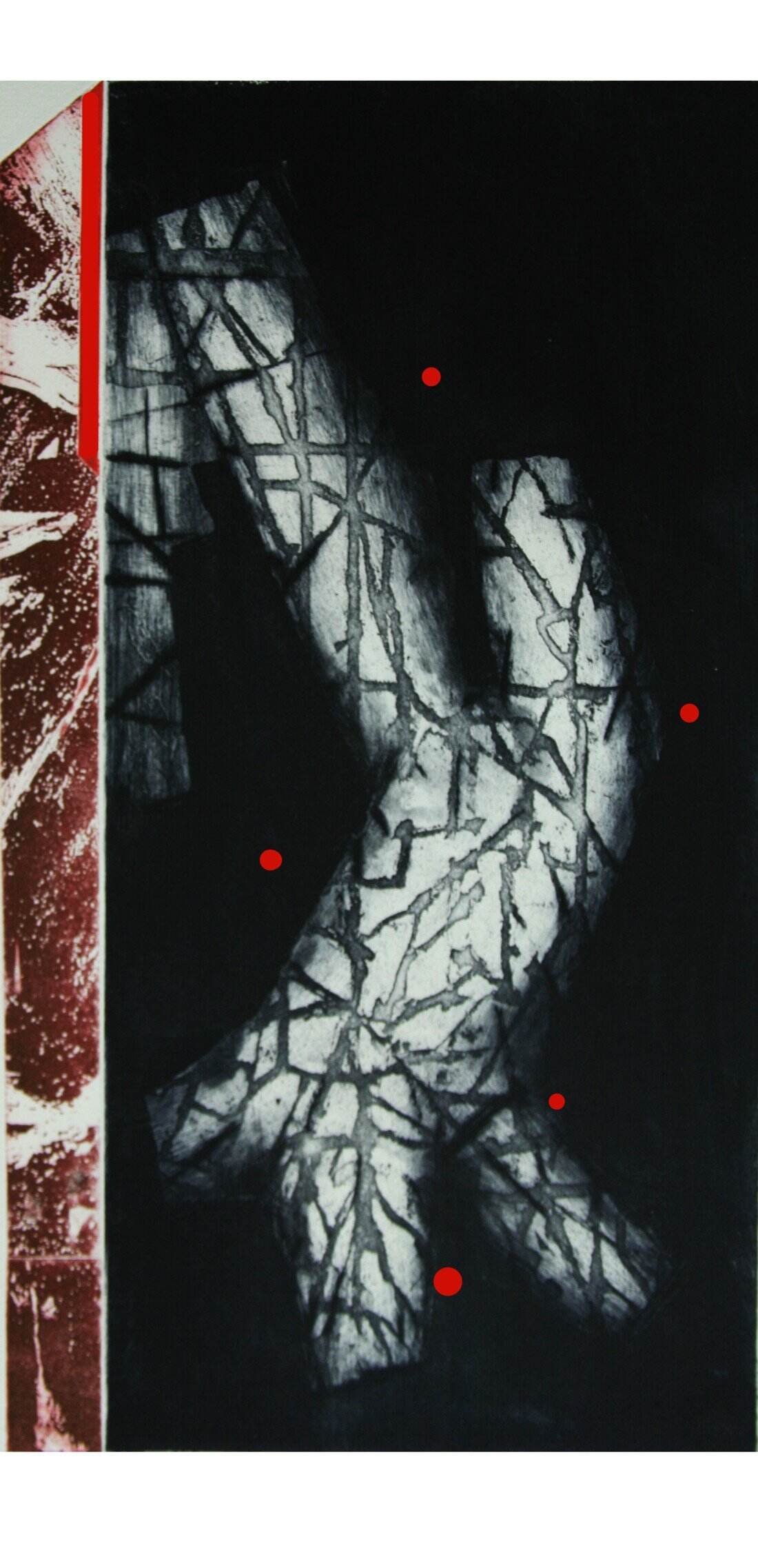 Limb 2