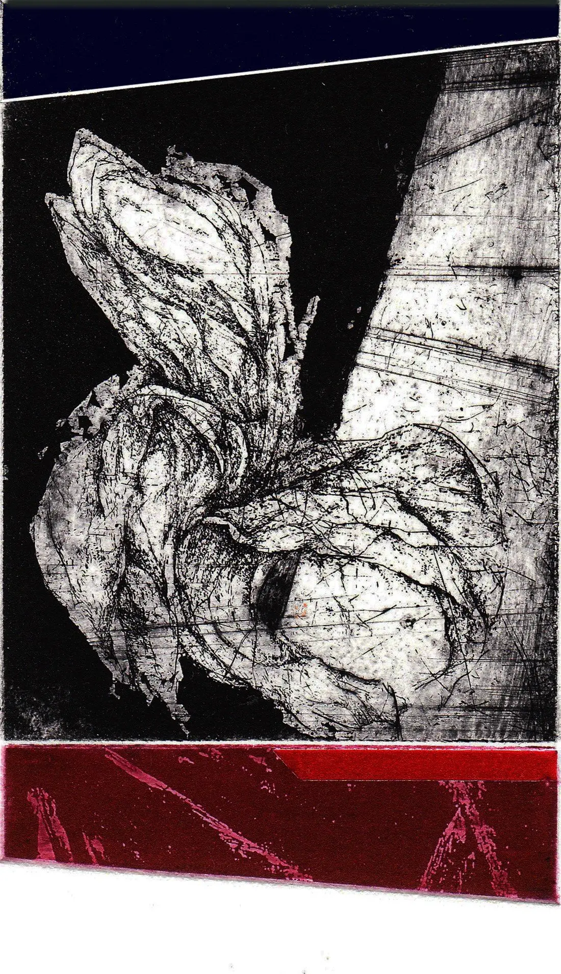 Stem