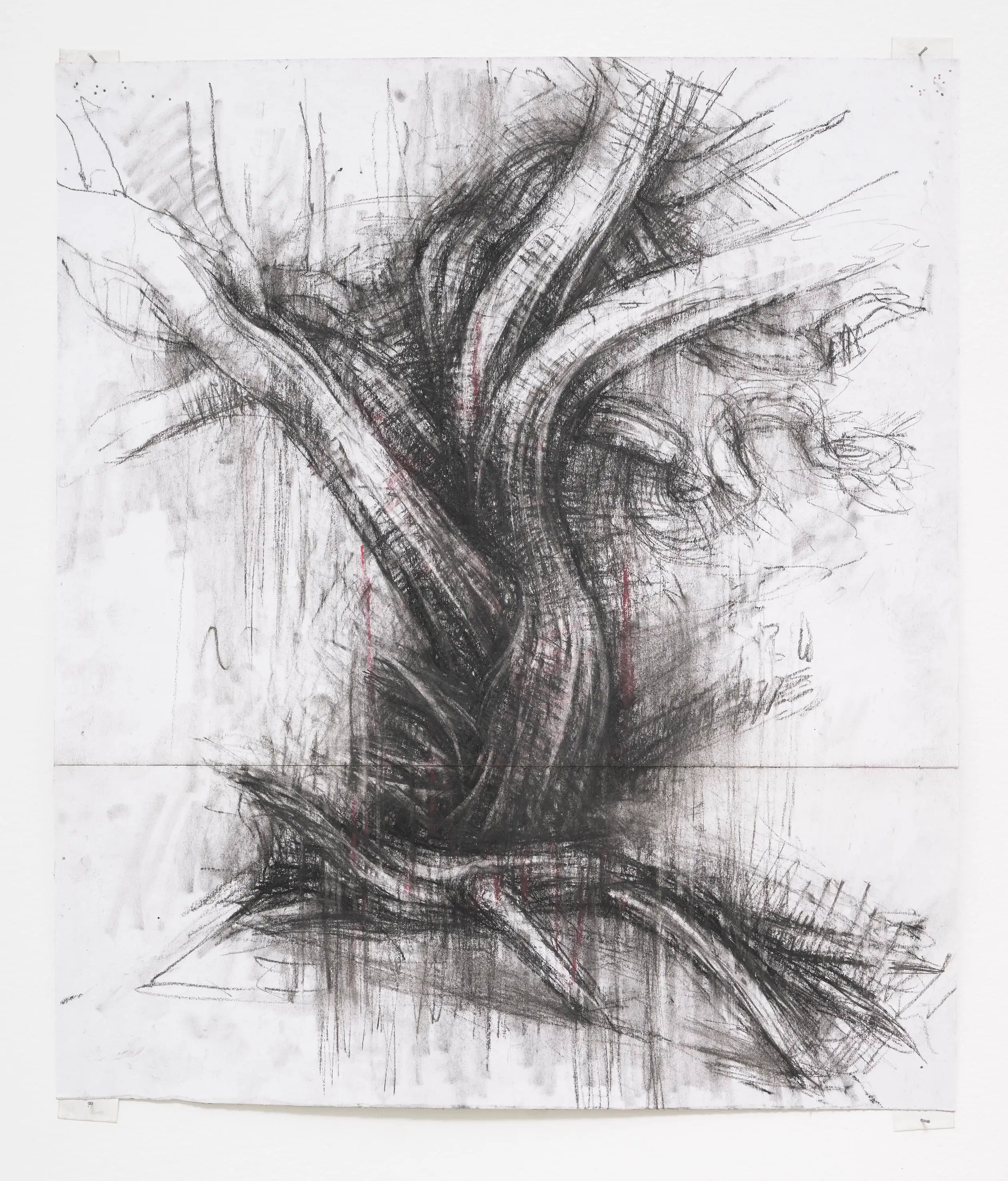 Tree study V