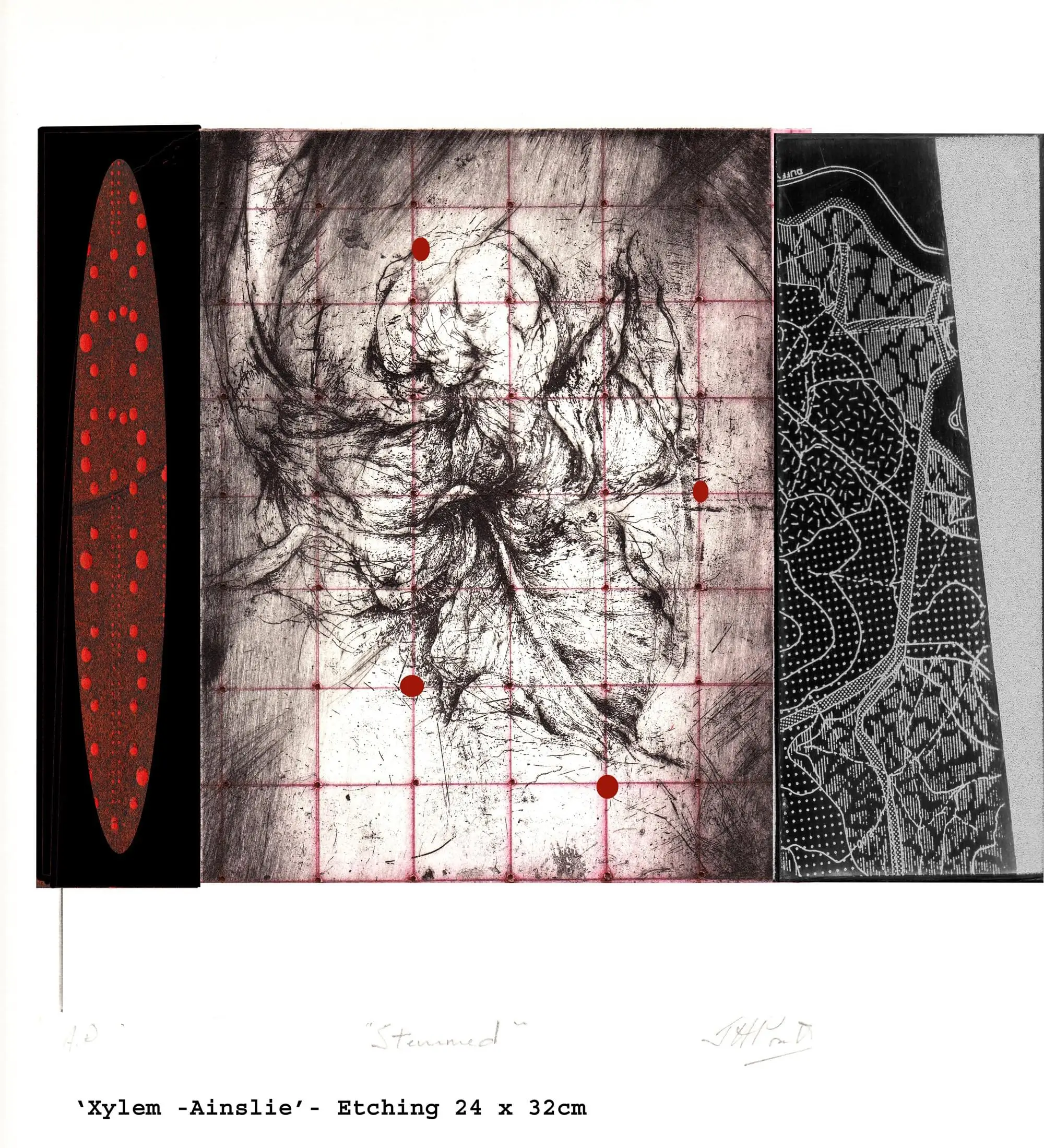 Xylem etching